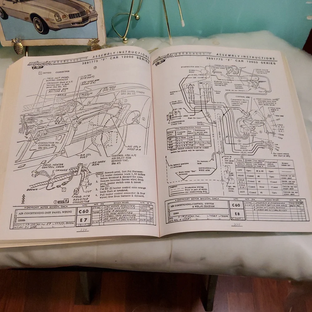 Camaro Books Pair 1967